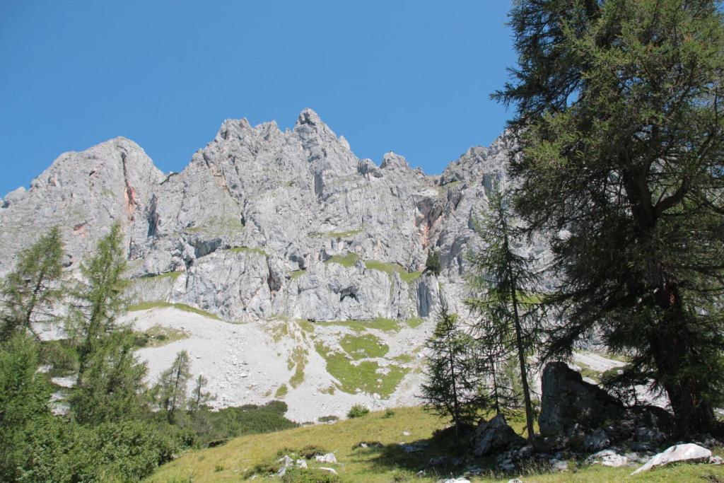 Schattaugut อีเบิน อิม พอนเกา ภายนอก รูปภาพ